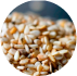 //simplynootropics.co/cdn/shop/files/19-WIC-consititue.png?v=1726575426&width=100