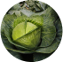 //simplynootropics.co/cdn/shop/files/3-WIC-consititue.png?v=1726575426&width=100