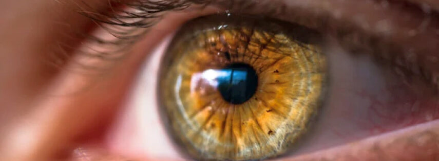 focus